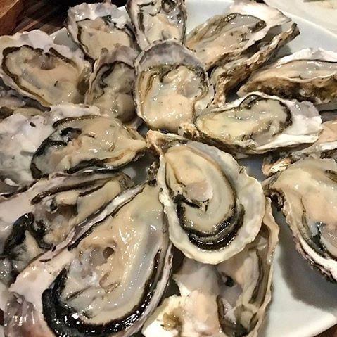 MEGA prime plate of raw oysters! 10 pieces 2980 yen