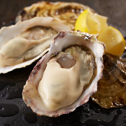 Oysters from all over the country that gathered the season