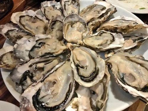 10 raw oysters MEGA