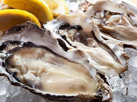 Stock from all over the country! [Raw oysters]