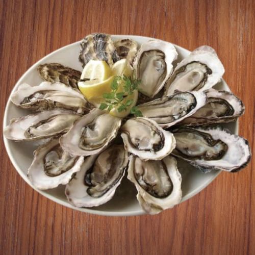 If you come here feeling energized, try this first! "MEGA Raw Oyster Plate"