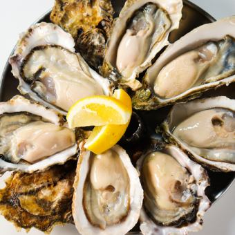 【好評につき継続!】★生牡蠣食べ放題★120分3,980円!⇒前日までのご予約で2,980円