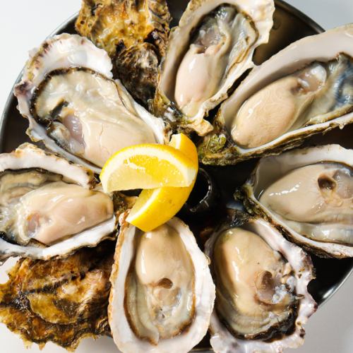 Fresh oysters from all over Japan!