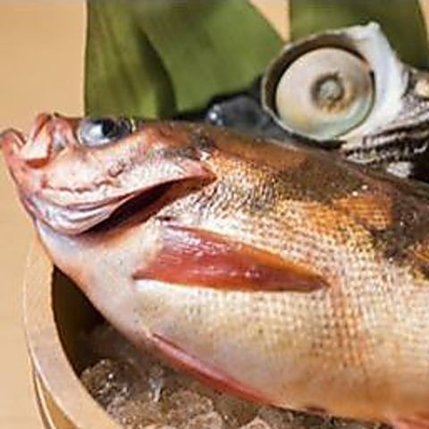 築地で目利きのバイヤーが仕入れる魚や、契約漁港からお店に直送