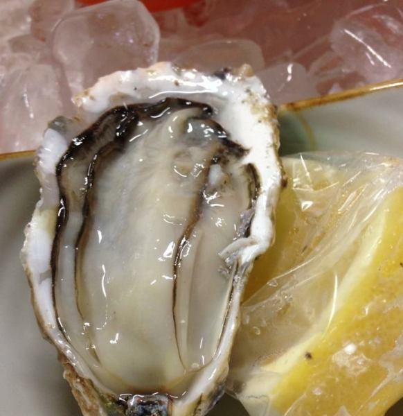 全国から厳選した、今旨い牡蠣を常に3種類ご用意!時期により産地が変わっていきます。