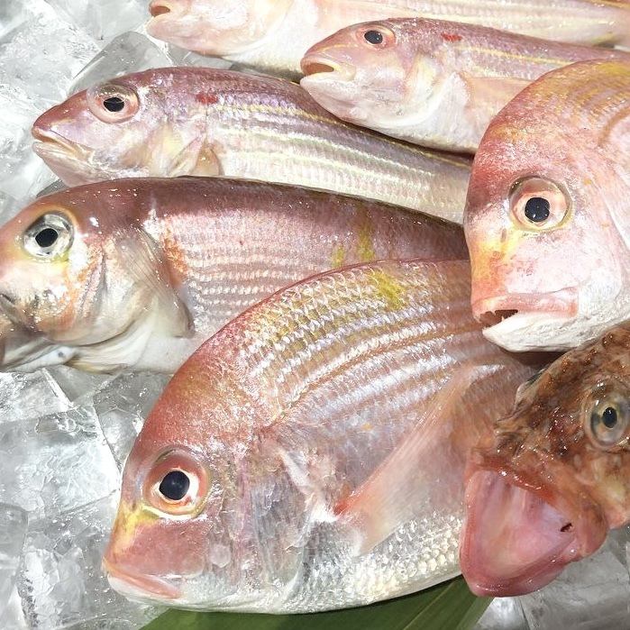 鮮度が自慢の魚料理！刺身/焼き物、煮物まで幅広く楽しめます！