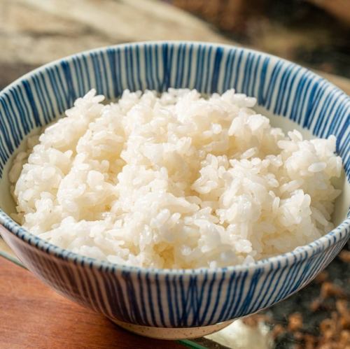 ご飯