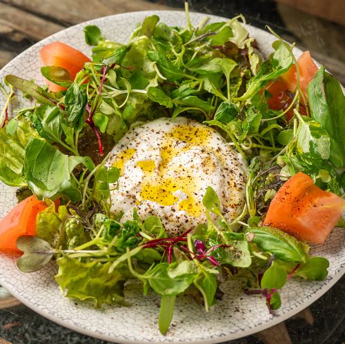 自家製リコッタチーズとハーブのサラダ