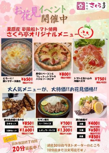 [Cherry blossom viewing event currently underway]