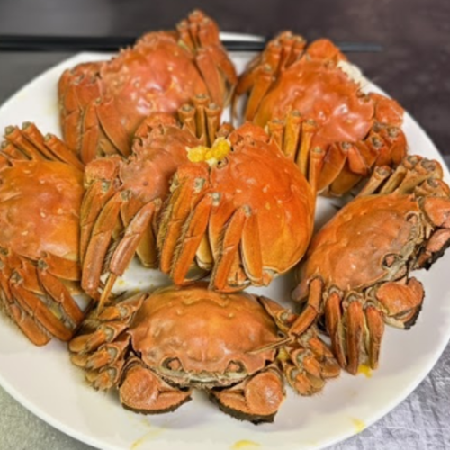 予約必須!【旬の贅沢】今だけしか味わえない上海蟹!