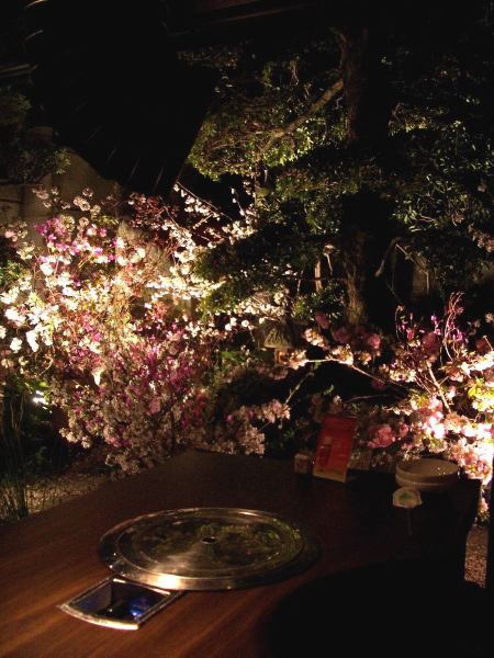 稍微富麗堂皇的榻榻米房間，可以一邊眺望燈火通明的庭園一邊約會或舉辦派對。推薦給公司和私人聚會！