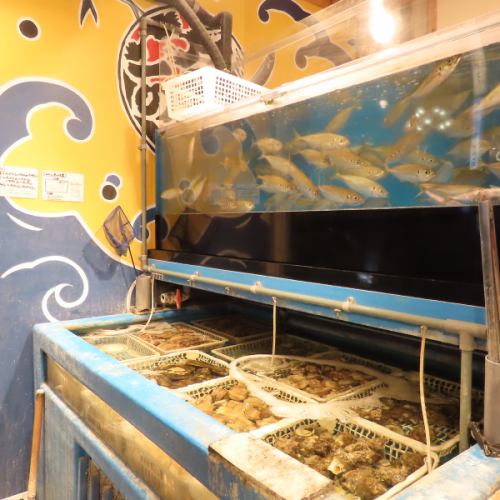 鮮度バツグンの海鮮類♪