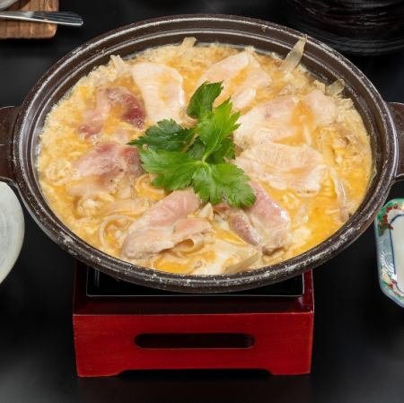 【6月～9月限定】奥久慈しゃもの柳川鍋単品