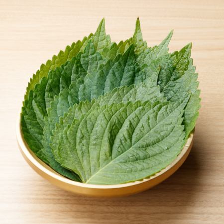 包み野菜　エゴマの葉