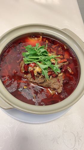 Sichuan-style stewed beef