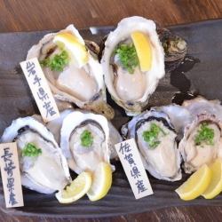 Compare raw oysters from all over the country!