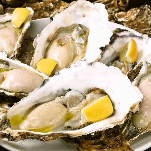 Today's recommended raw oysters ☆ Super fresh oysters arrive every day ☆