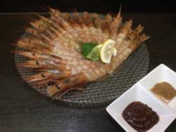 Dosa platter! Raw shrimp sashimi (16 pieces)