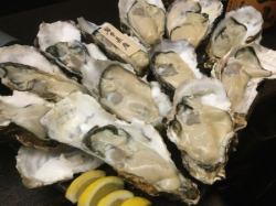 A lot of large raw oysters! Kakishabu