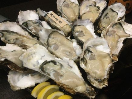 Loads of large raw oysters! [Kakishabu course] 7 dishes total 5500 yen