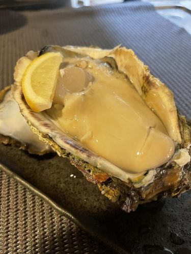 Ghost Rock Oyster 1 piece