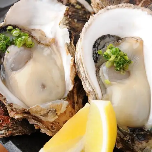 全国の牡蠣を食べ比べ！