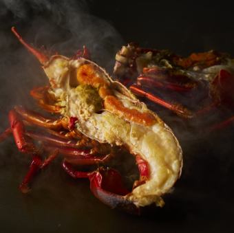 Live spiny lobster