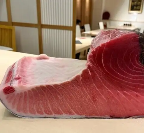 천연 생본 鮪