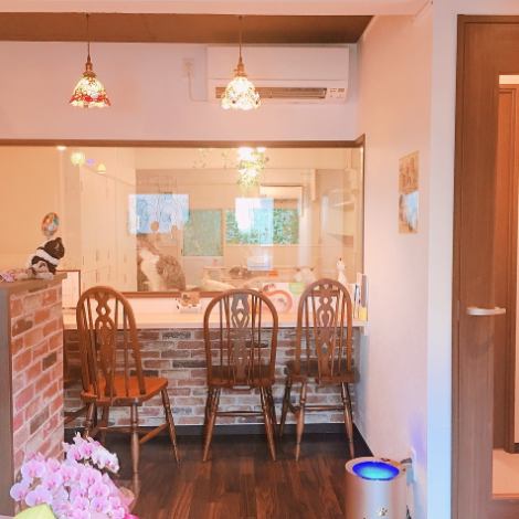 [Cafe space] The store is divided into a cafe space and a room for the cats, and the cafe space has 3 seats in total!Customers who like cats but have allergies can also watch the cute cats from the cafe space. can!