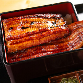 Grilled eel and rice Matsu