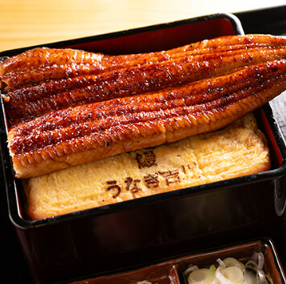 だし巻きの上に鰻を1本乗せた「うな玉重」が一押し