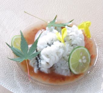 【鱧料理】鱧の湯引き