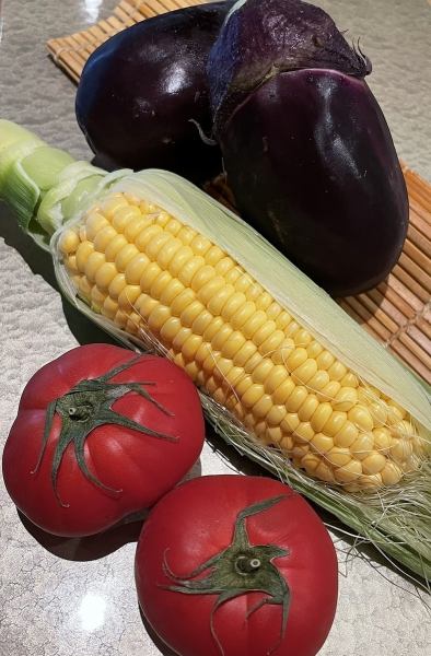 【夏の味覚】旬の料理の数々を堪能◎
