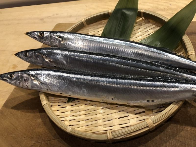 【秋の味覚】旬の料理の数々を堪能◎