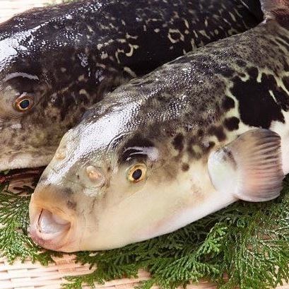 【冬の味覚】旬の料理の数々を堪能◎