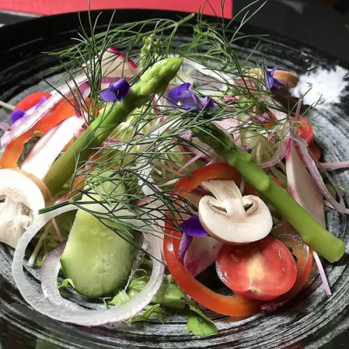 彩り野菜サラダ