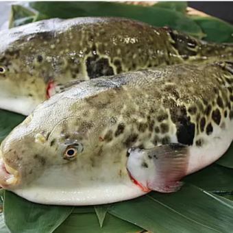 【河豚つくしコース】(お料理のみ)河豚を贅沢に堪能出来るコース11000円(税込)