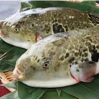 【てっちり鍋】(お料理のみ)たっぷり河豚の身を贅沢に頂く鍋のみコース8500円(税込)