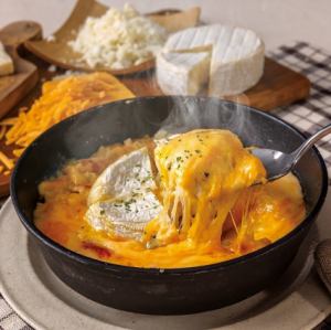 高級多利亞起司配卡門貝爾起司和四種其他起司