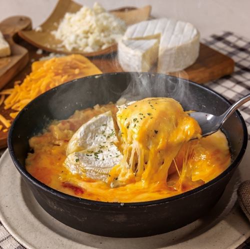 高級多利亞起司配卡門貝爾起司和四種其他起司