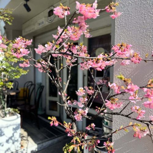 新樽開栓！

本日イベント営業。
『「薬膳カリー&ベルギービール　ベースキャンプ」がCafé.maison de K.にやってくる！Vol.3』開催です。
大変混み合う事が予想されます。ご相席、ご了承下さいませ。

本日2樽新規開栓いたします。
カリーに合いそうな旨いビールも是非。

●トラピスト・スリールールズ
Trappist Collab 2024(Trappist Three Rules) / Keg
style / Belgian Dubbel (Trappist)
alc 7.4%
Authentie Trappist Produet と認められるための3つのルールを讃える夢の特別醸造コラボビール。
深みのあるダークアンバー。
キャラメルや黒糖、トーストしたモルトの甘く香ばしいアロマ、ほのかにドライフルーツやスパイス、軽いスモーキーさも。
リッチなモルトの甘味と穏やかな苦味、上品なドライフィニッシュ。

下記の3つの修道院です。
●オランダ
La Trappe（ラ・トラップ：コニングスホーヴェン修道院）
Zundert（ズンデルト：マリア・トゥーフラフトゥ修道院）
●イギリス
Tynt Meadow（ティント・メドウ：マウント・セイント・バーナード修道院）

●スーパー8・ブロンシュ
SUPER 8 Blanche / Keg
style / Belgian - Wit
alc 5.1%
ベルギー内で3番目の規模を誇り、
120 年続く家族経営の造所「ハーヒト造所」のベルジャンホワイト。
コリアンダーシード・オレンジピール等を使用した、伝統的なホワイトエール。

皆様のお越しをお待ちしております！

#trappistcollab #threerules #super8blanche #belgianbeer #bc_taste