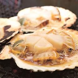 1 scallop in the shell, grilled with butter