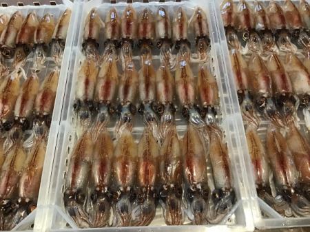 今日のおすすめは富山県産のホタルイカです🦑
