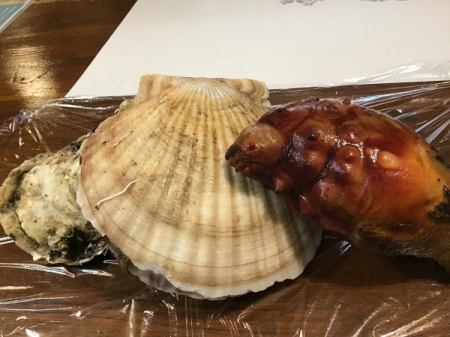今日のおすすめは生カキ🦪ホタテ貝と、ホヤです‼️