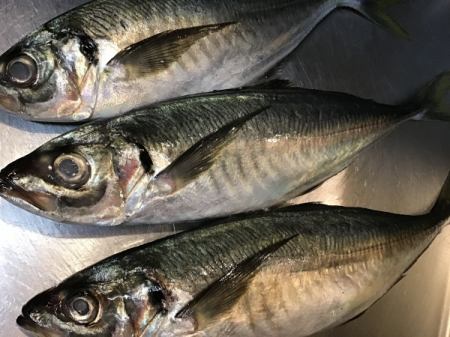今日のおすすめは長崎県産のアジです‼️