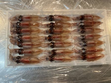 今日のおすすめは富山県産のホタルイカです‼️