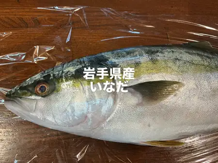 今日のおすすめは岩手県産のイナダです‼️