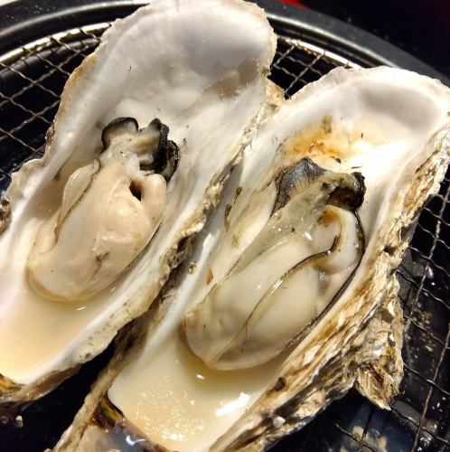 今"旬"の焼き牡蠣 800ｇ（8個位）岡山産