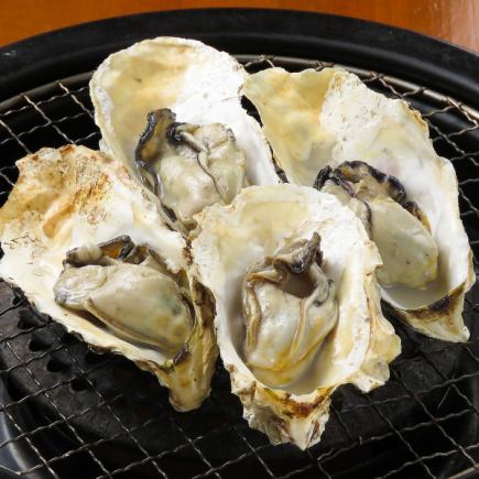 2名様~【土日祝日12:00~15:30入店時限定!】■焼き牡蠣食べ放題100分♪