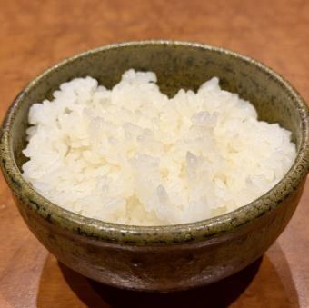 京丹後直送 コシヒカリごはん小盛り